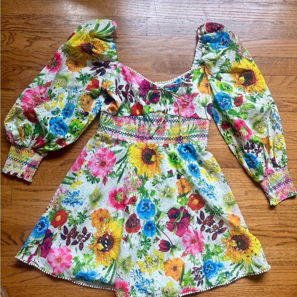 NWT Alice + Olivia Crawford Sweetheart Mini Dress - Picture 3 of 9